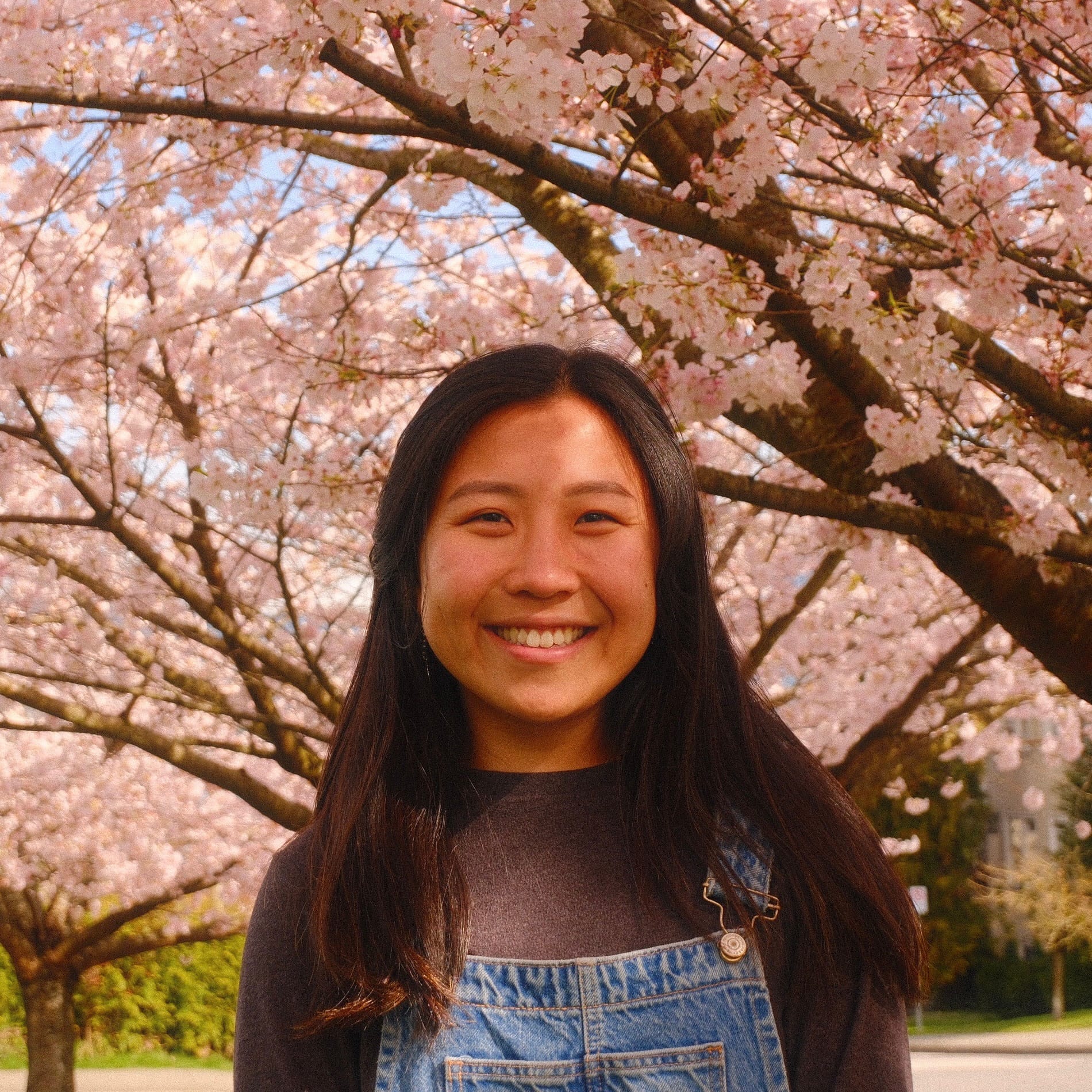 Helen Liu, Pre Registered Counsellor